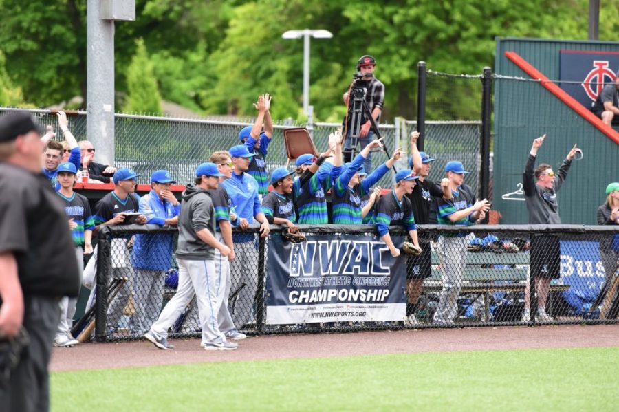 The+EdCC+Triton+baseball+team+on+the+sidelines%2C+cheering+during+a+home+game.+The+team+won+plenty+of+NWAC+North+Region+All-Star+titles+during+the+season.+