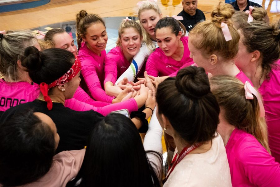 Volleyball Team Vanquishes