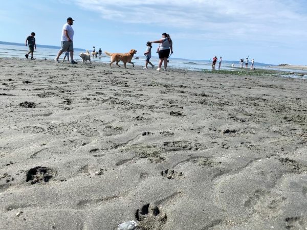 On a sunny day, OLAE is a favorite spot to bring the family dog. 