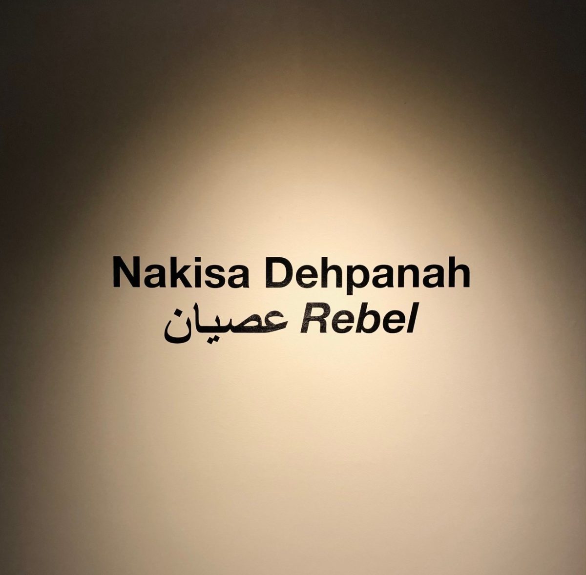 Nakisa+Dehpanahs+art+exhibit+Rebel.++